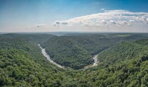 Offering One of the Most Beautiful Farms in Nicholas County A Rare opp – image 51