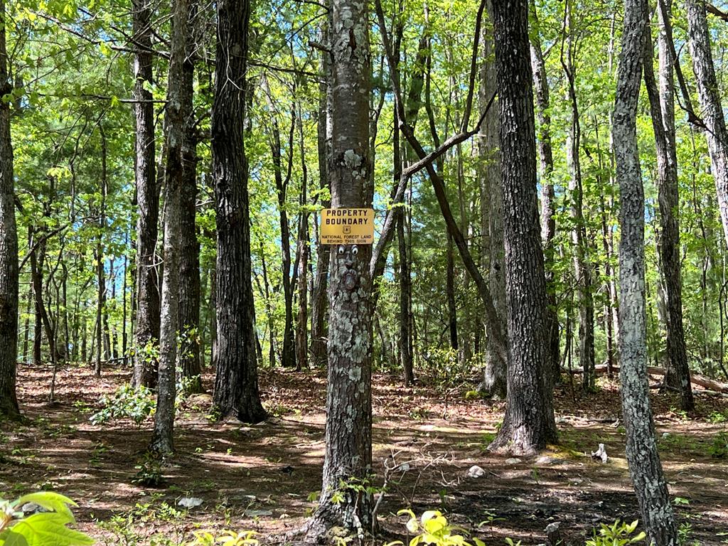 Tucked away into the North Georgia mountains and backing directly to p – image 75