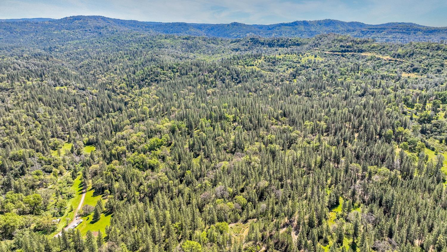 7698 7698 Swiss Ranch Road, Mountain Ranch, California, 95246, USA, ,Land,For Sale,7698 Swiss Ranch Road,226030980