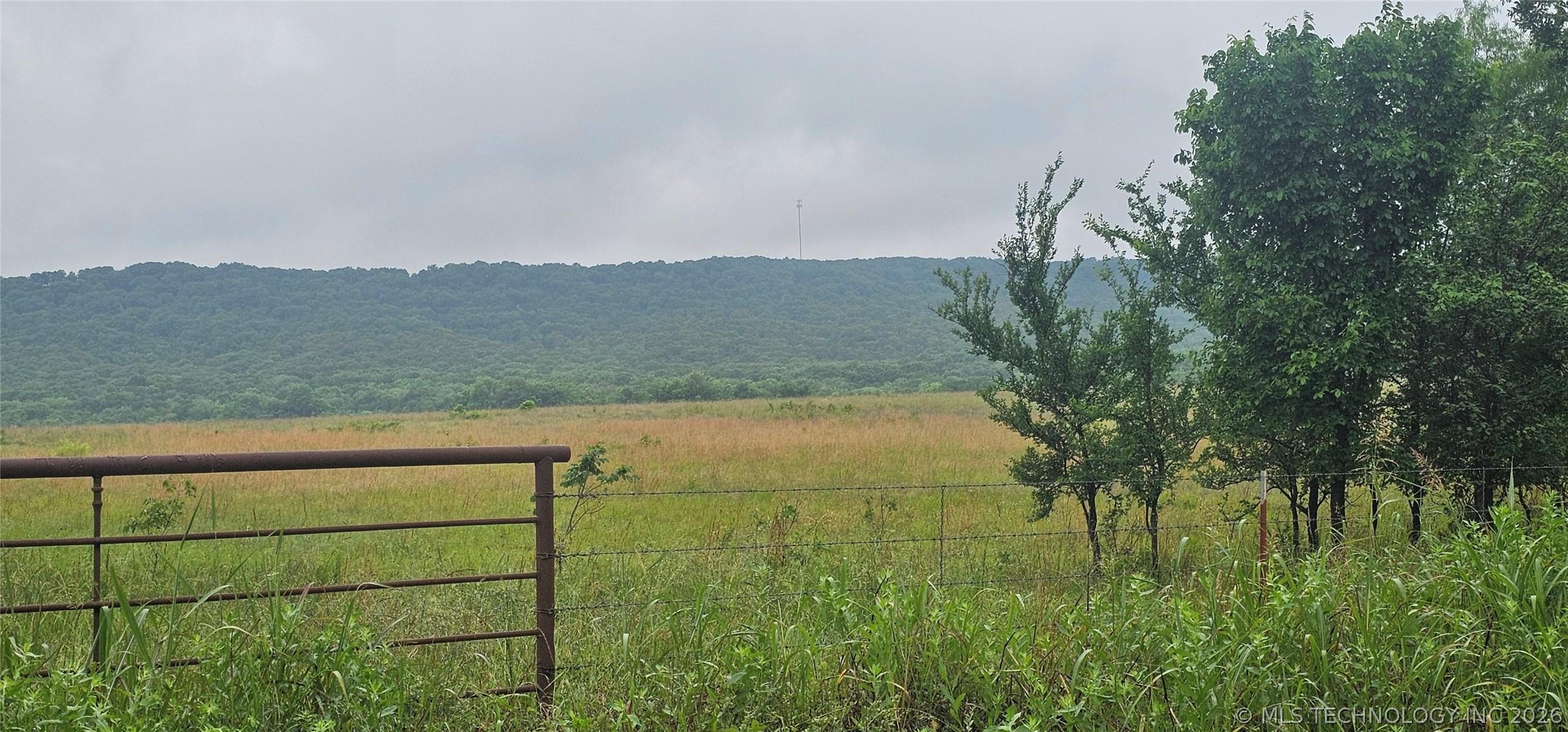 196 +/- premium pasture acres ideal for grazing or hay production with – image 11