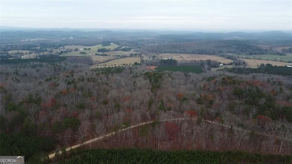 Discover nearly 125 acres of pristine, wooded land nestled in the hear – image 4