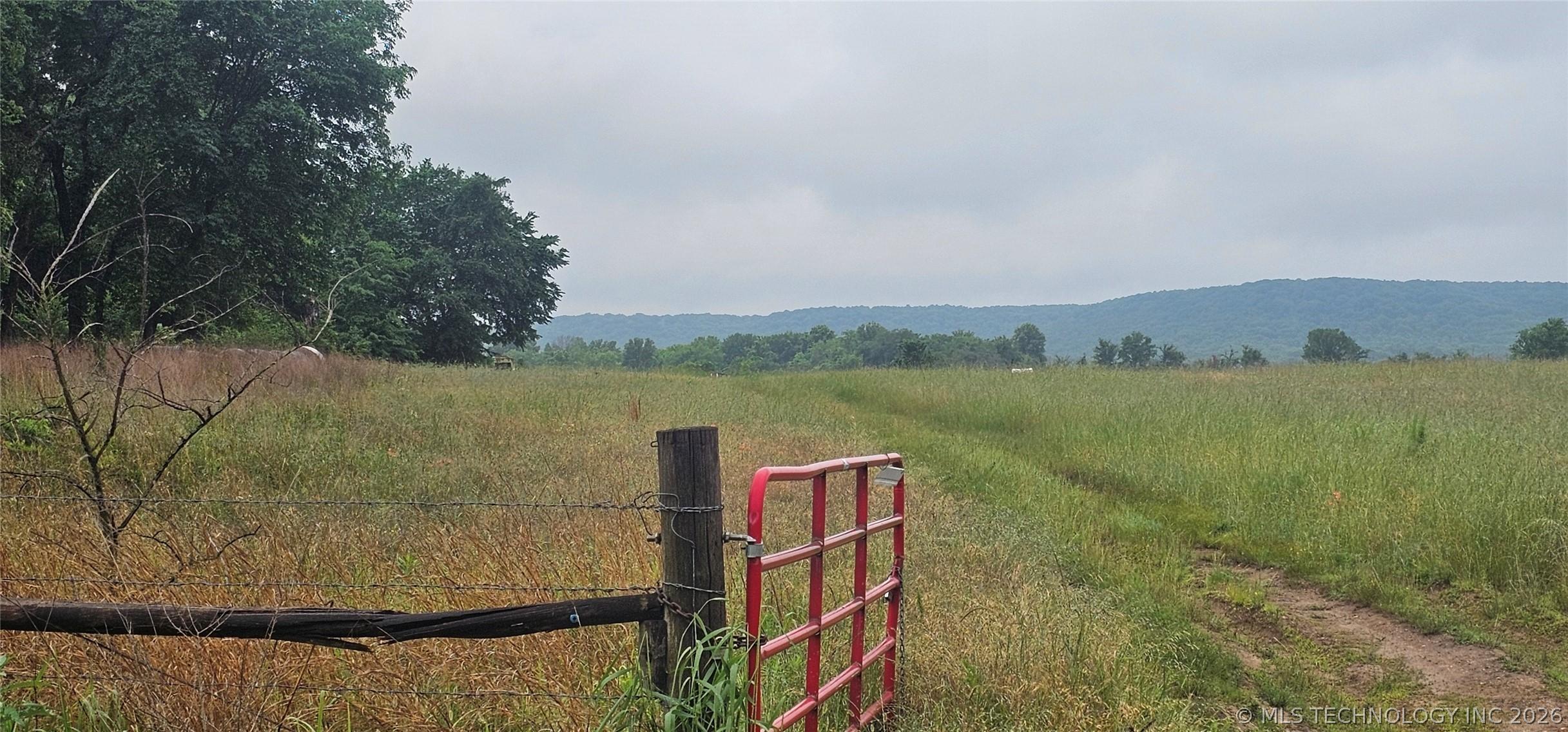 196 +/- premium pasture acres ideal for grazing or hay production with – image 5
