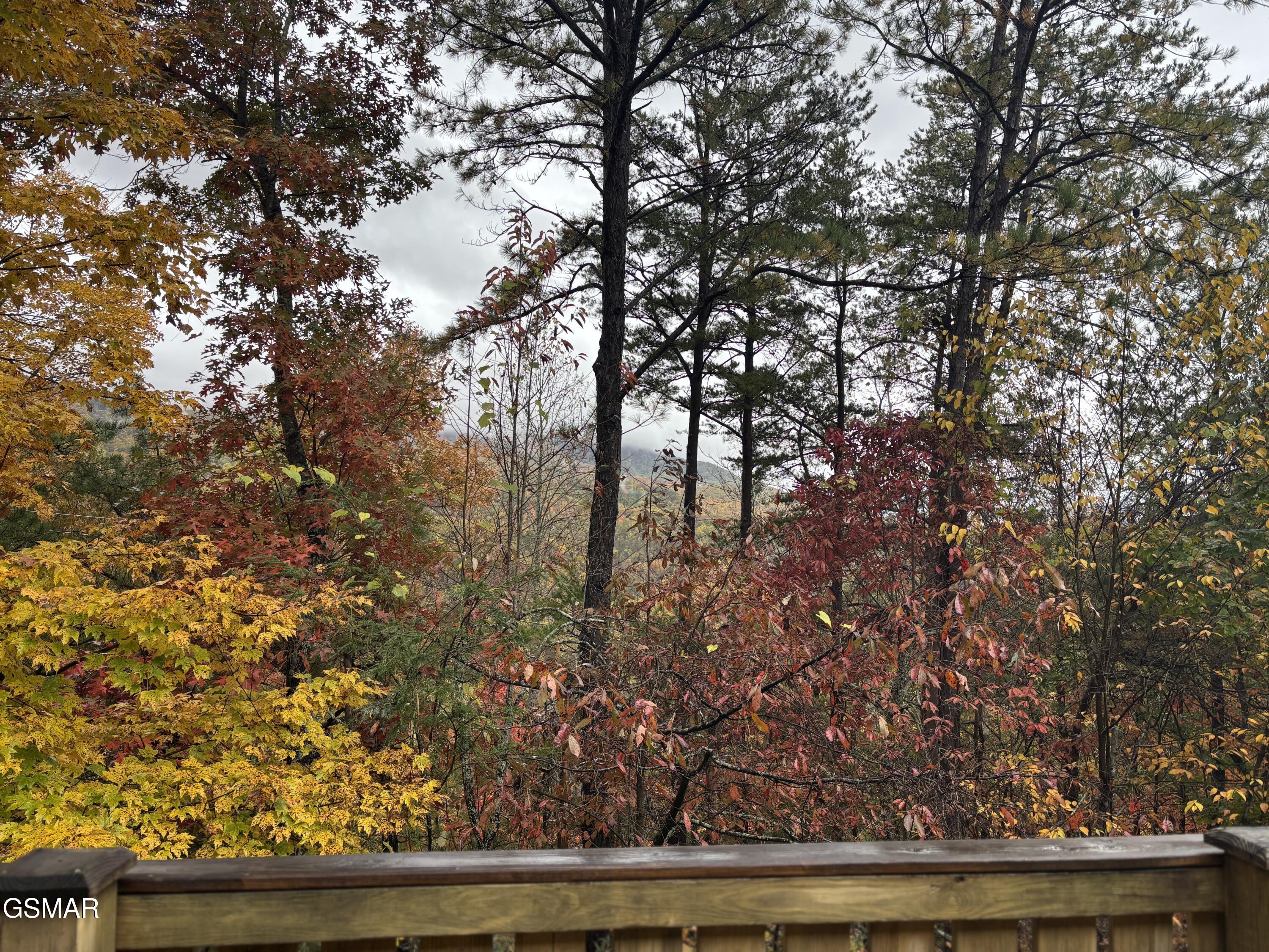 317 317 Matterhorn Drive, Gatlinburg, Tennessee, 37738, USA, 2 Bedrooms Bedrooms, ,3 BathroomsBathrooms,Residential,For Sale,317 Matterhorn Drive,308451