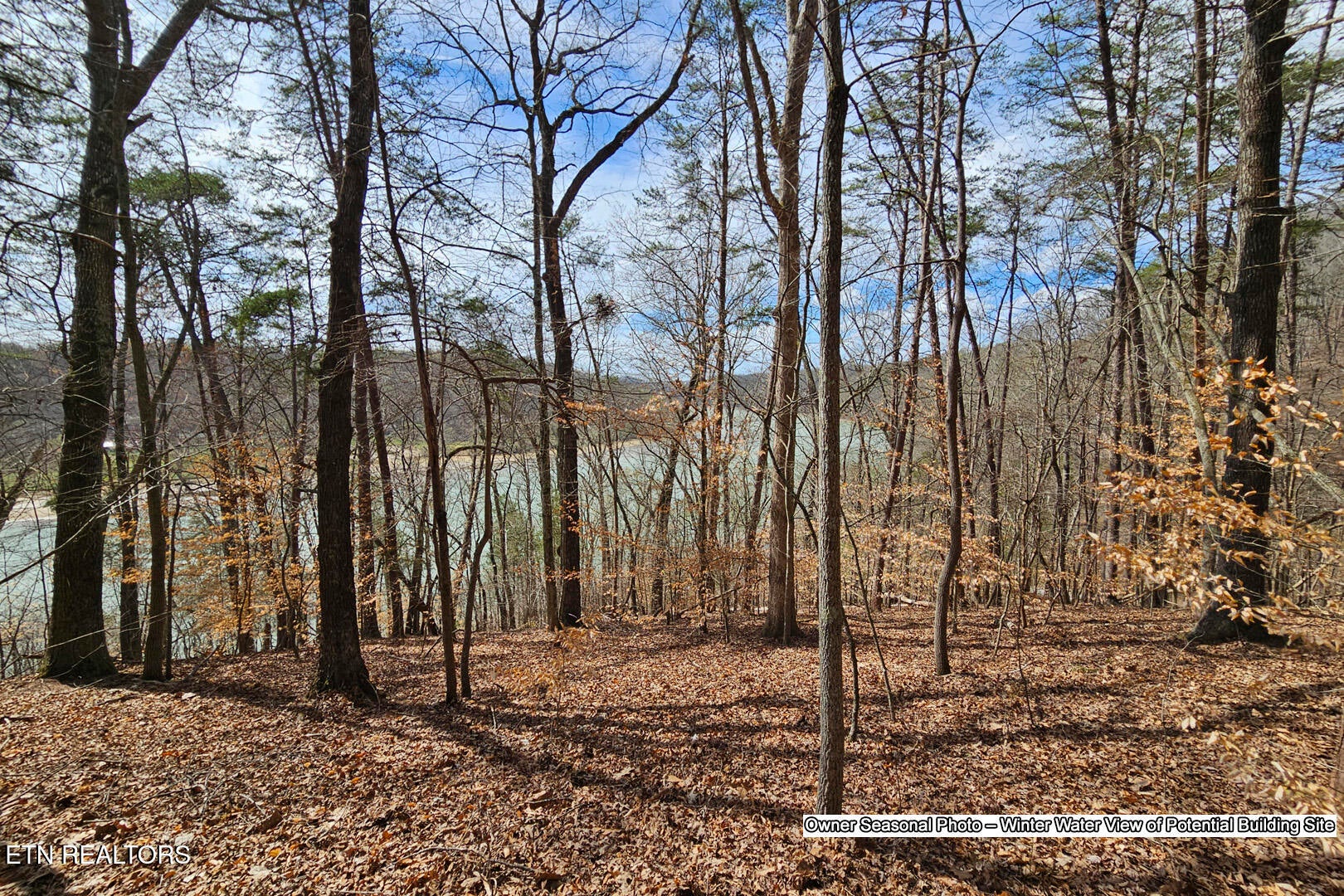 880 880 Skyline Drive, Harriman, Tennessee, 37748, USA, 3 Bedrooms Bedrooms, ,4 BathroomsBathrooms,Residential,For Sale,880 Skyline Drive,6c9e6ce5-d78a-4ae4-a55c-fa9f55