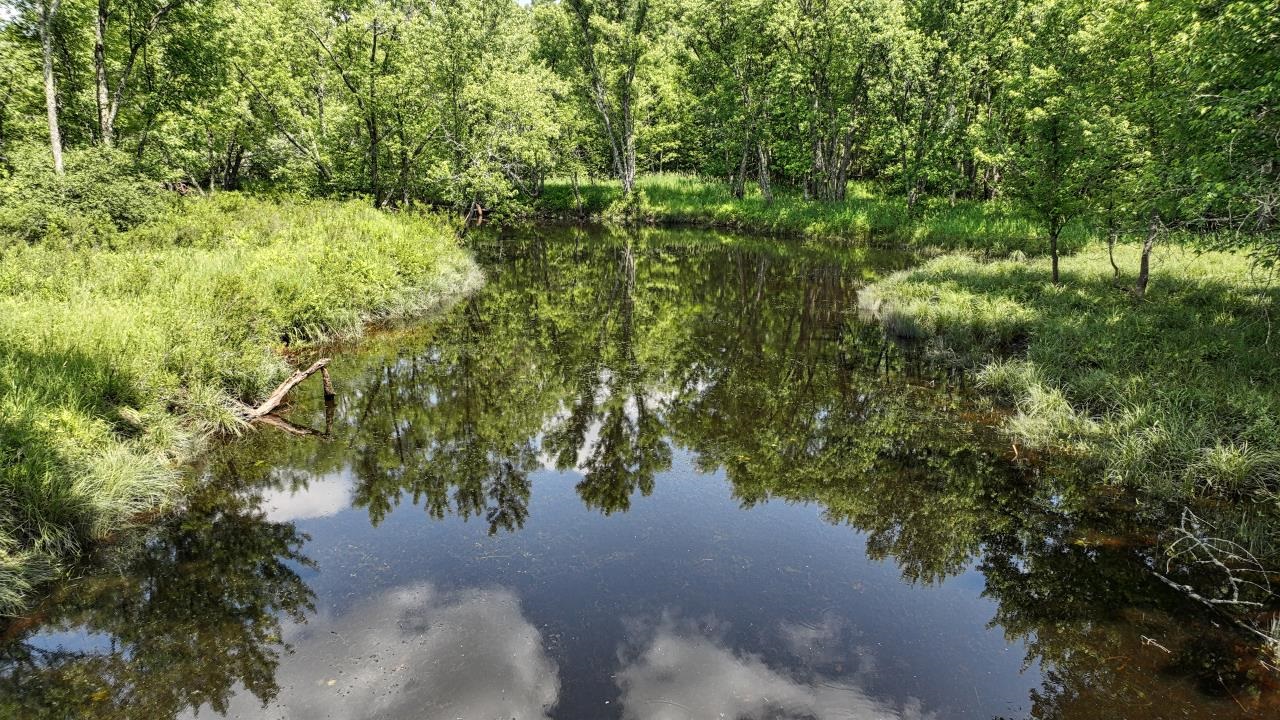 75500 75500 Joe Rein Road, RL, Glidden, Wisconsin, 54527, USA, 3 Bedrooms Bedrooms, ,3 BathroomsBathrooms,Residential,For Sale,75500 Joe Rein Road , RL,50319856