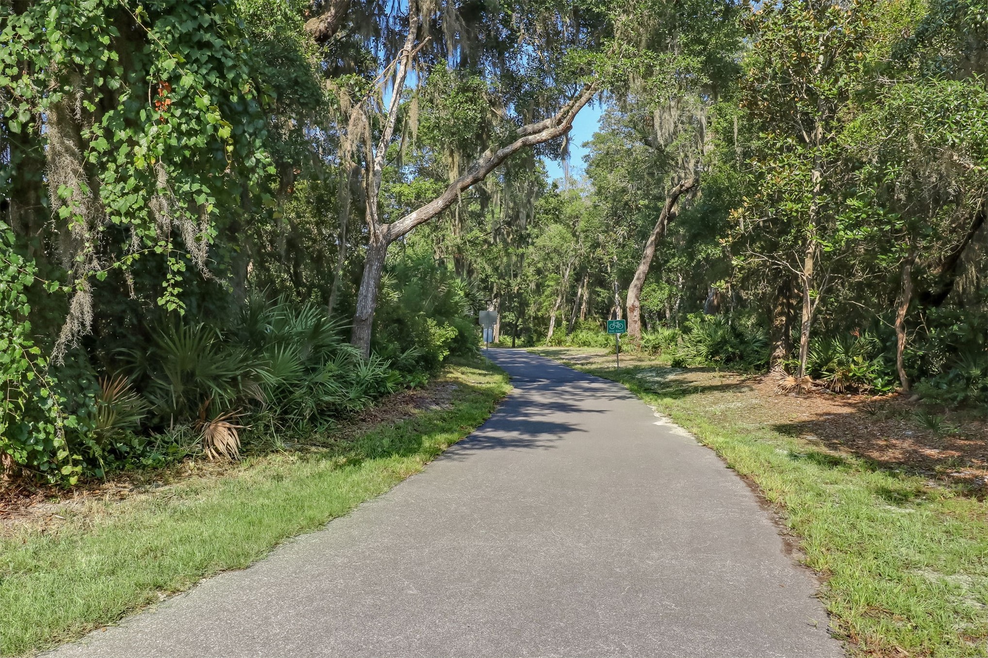 96159 96159 Hanging Moss Drive, Fernandina Beach, Florida, 32034, USA, 2 Bedrooms Bedrooms, ,3 BathroomsBathrooms,Residential,For Sale,96159 Hanging Moss Drive,114282