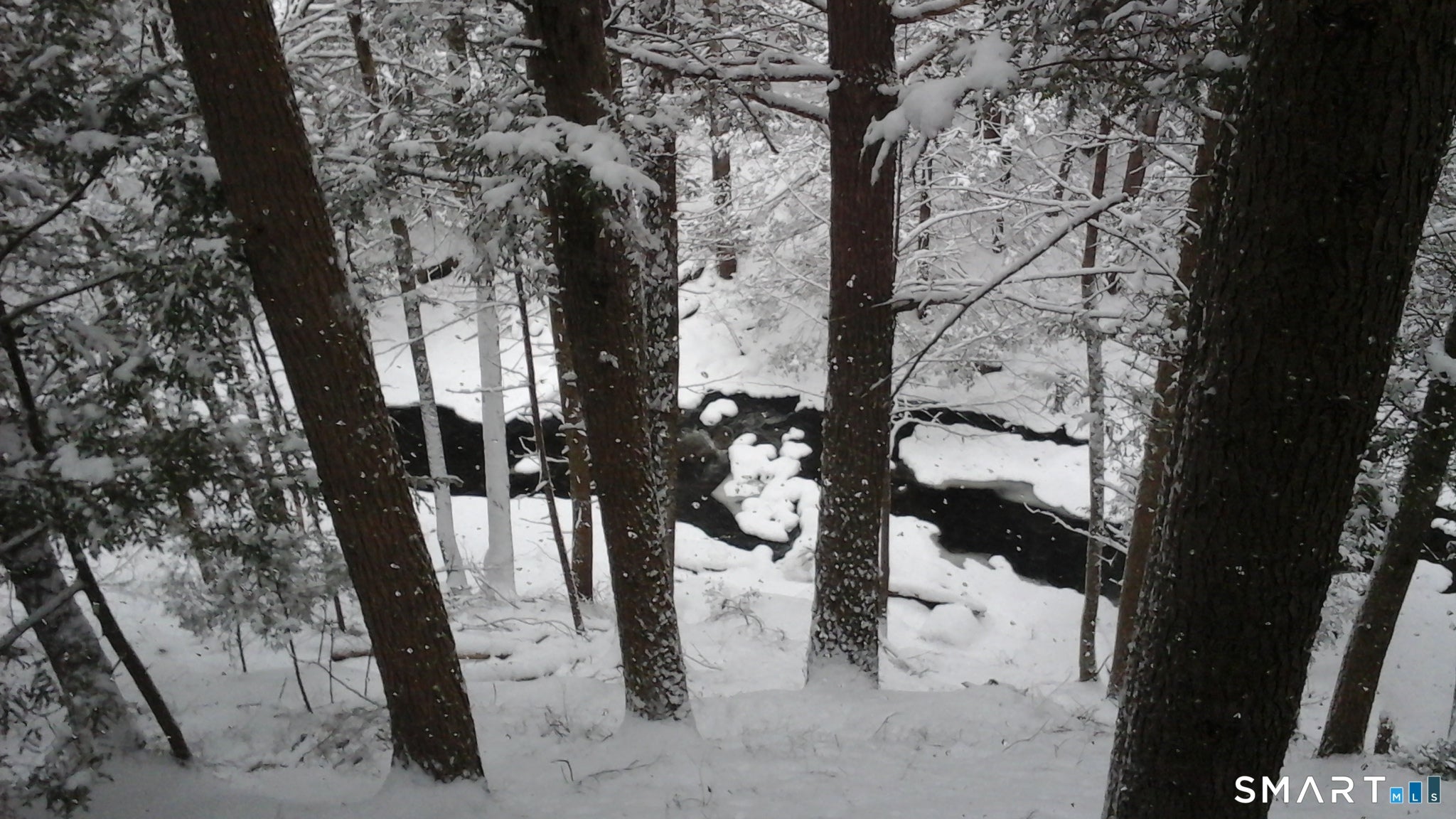 Tucked away in a peaceful wooded setting along the Blackledge River, t – image 39