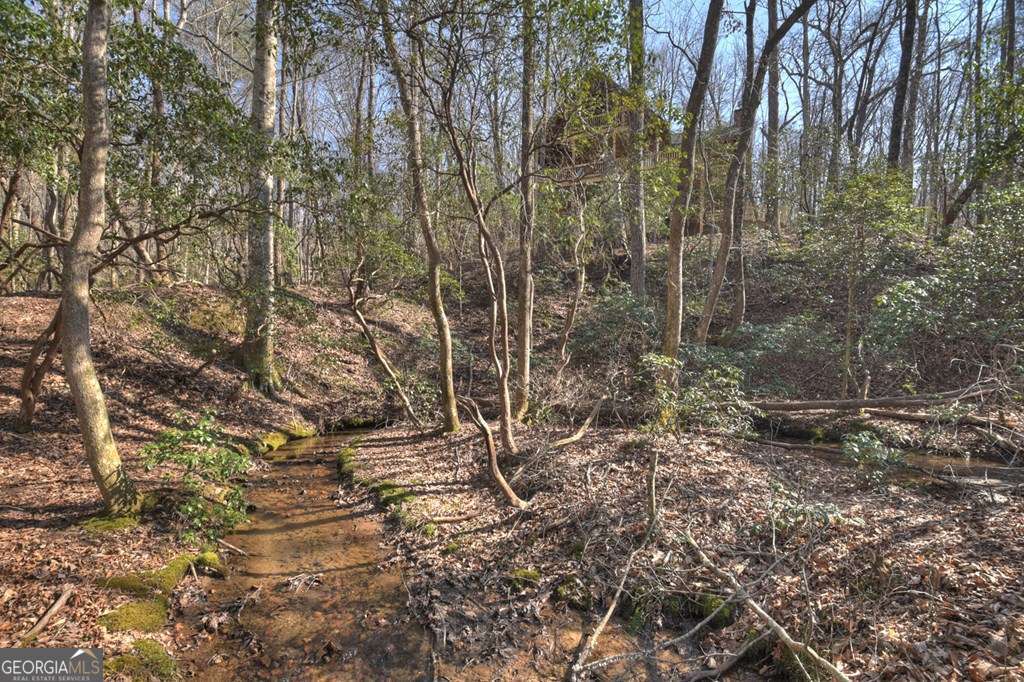 Endless Adventure Awaits where the Heart of the Cohutta Wilderness Are – image 19