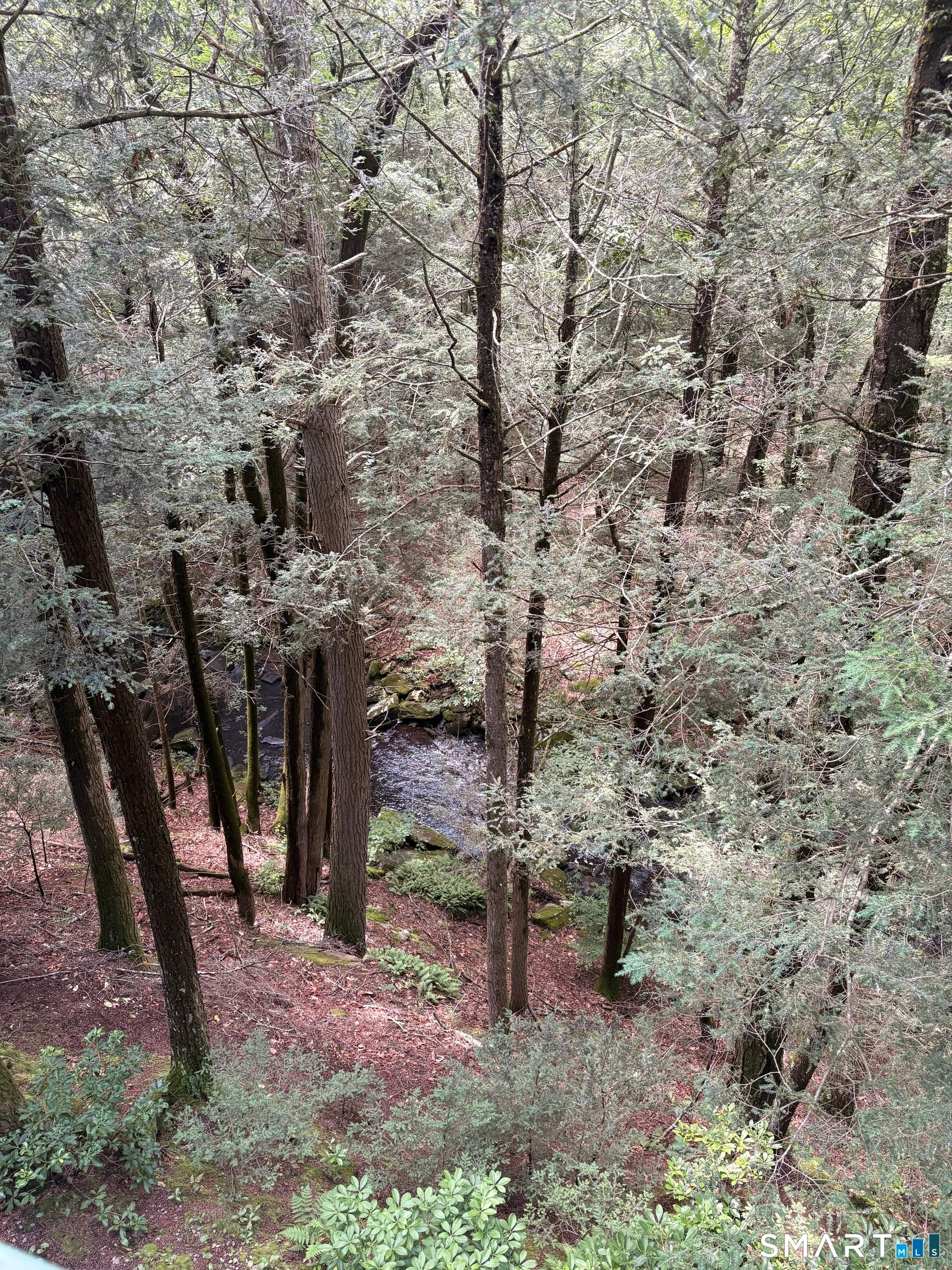 Tucked away in a peaceful wooded setting along the Blackledge River, t – image 38