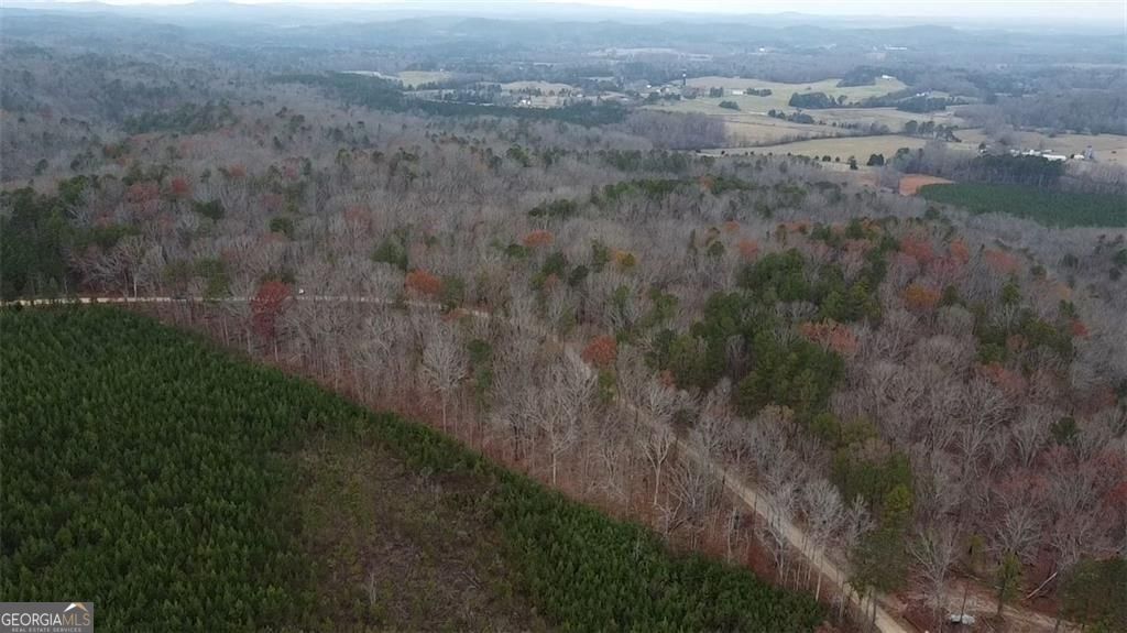 Discover nearly 125 acres of pristine, wooded land nestled in the hear – image 1