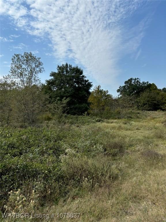 220 acres on either side of Milton Road, approximately 3/4 mile South – image 9