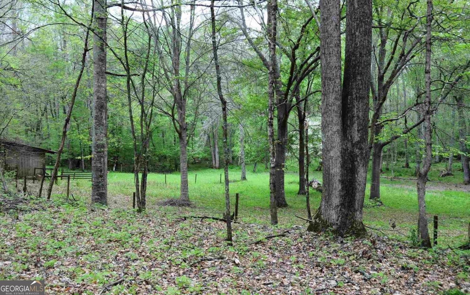 Welcome to 385 Vaughn Road-a private, 5.63-acre botanical sanctuary an – image 55