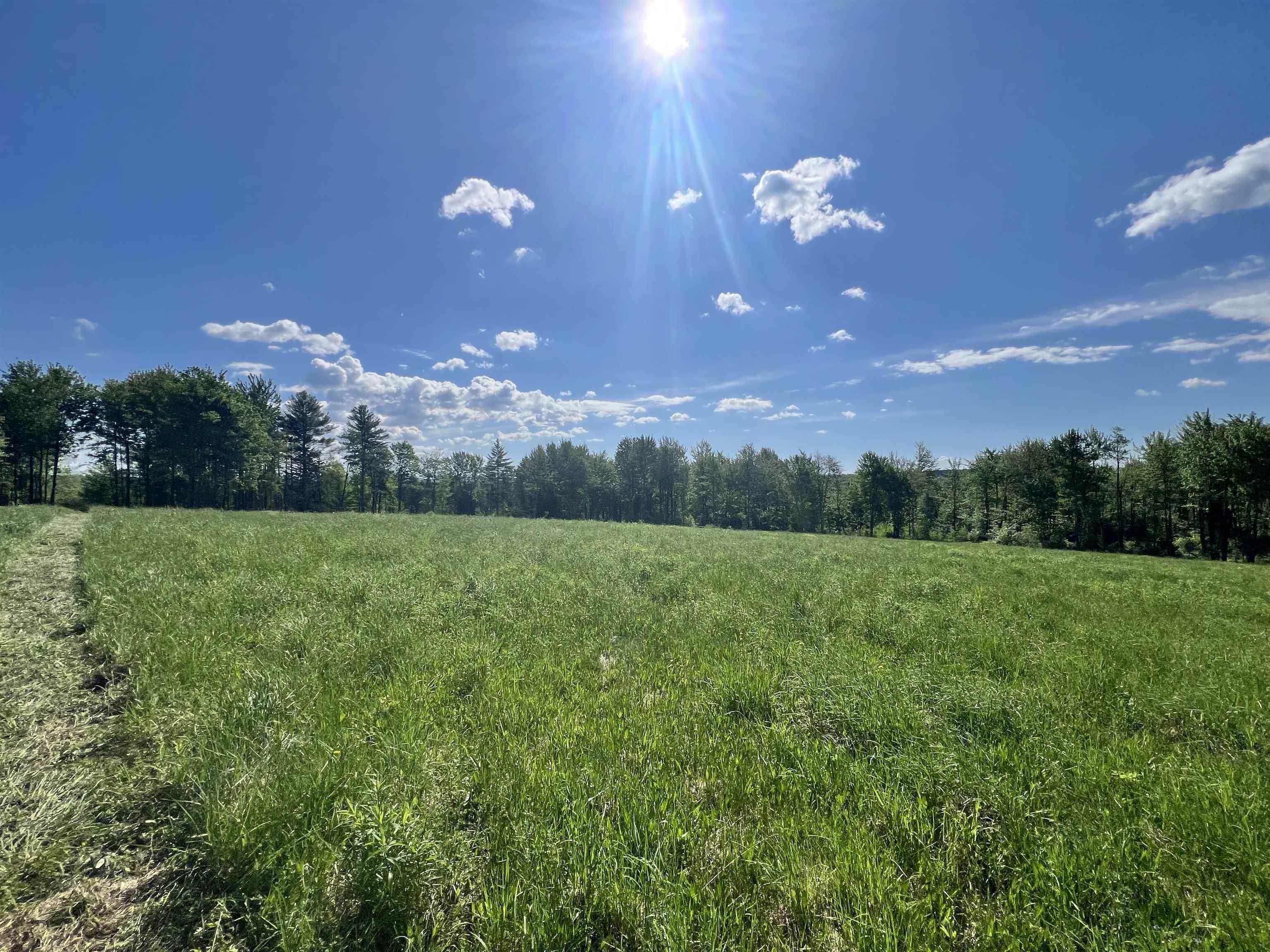 00 00 Town Hill Road, Wolcott, Vermont, 05860, USA, ,Land,For Sale,00 Town Hill Road,8c548b02-515f-4088-b77c-7788e9