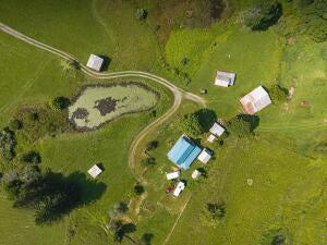 Offering One of the Most Beautiful Farms in Nicholas County A Rare opp – image 12