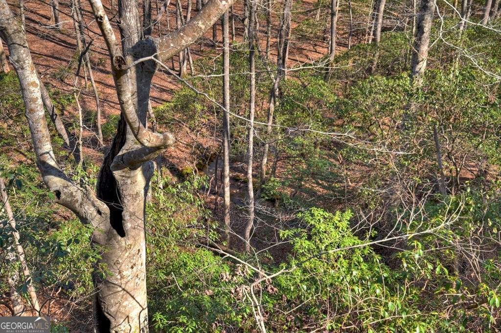 Endless Adventure Awaits where the Heart of the Cohutta Wilderness Are – image 49