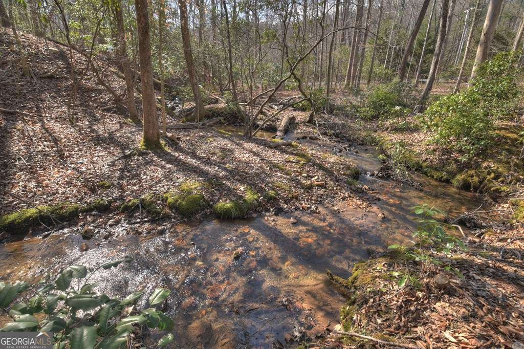 Endless Adventure Awaits where the Heart of the Cohutta Wilderness Are – image 14