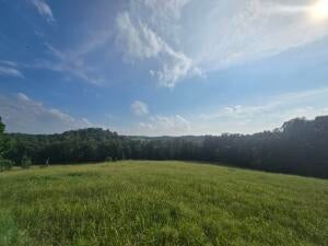 Offering One of the Most Beautiful Farms in Nicholas County A Rare opp – image 19