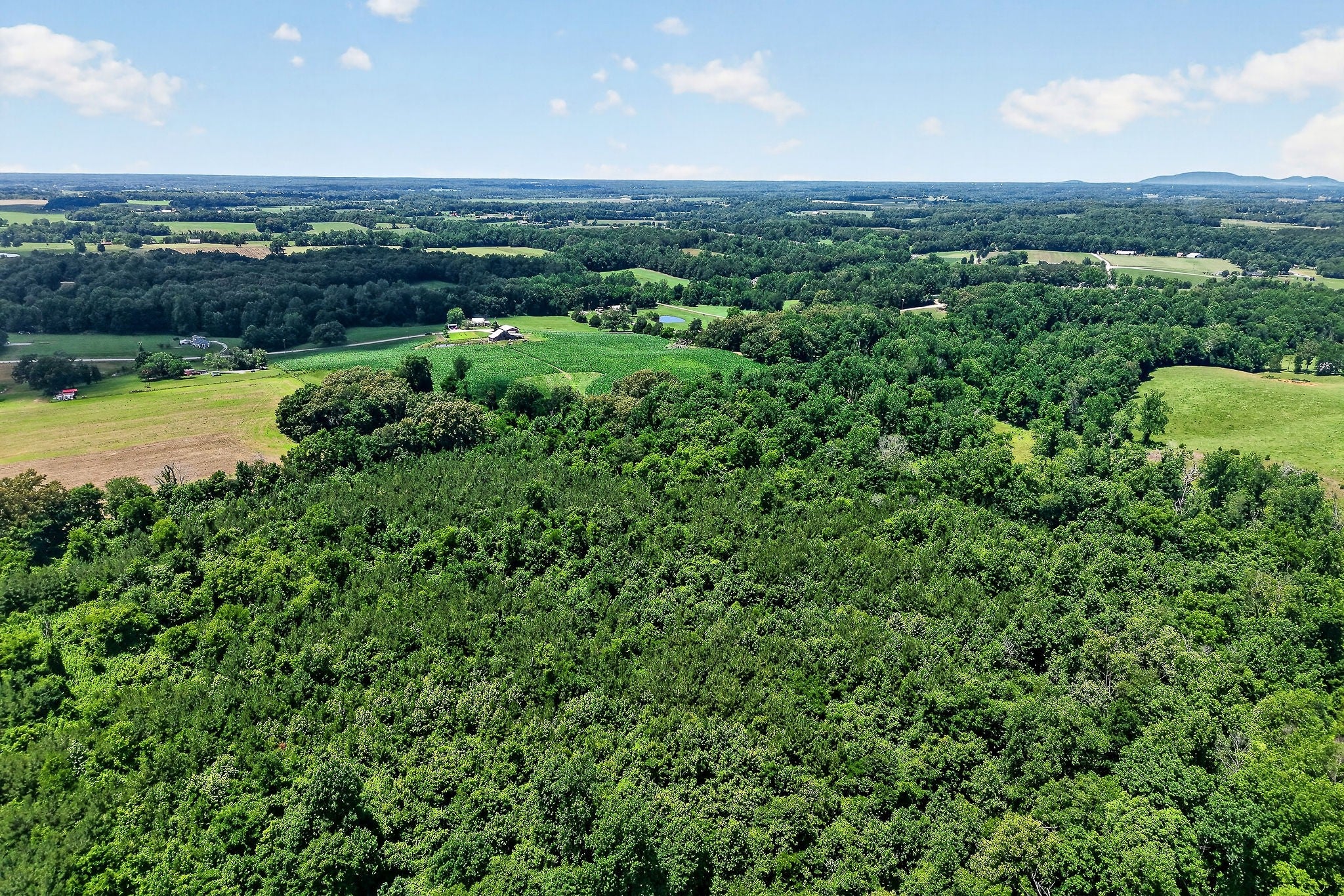 Opportunity, acreage, and potential all come together on this 41.16-ac – image 55