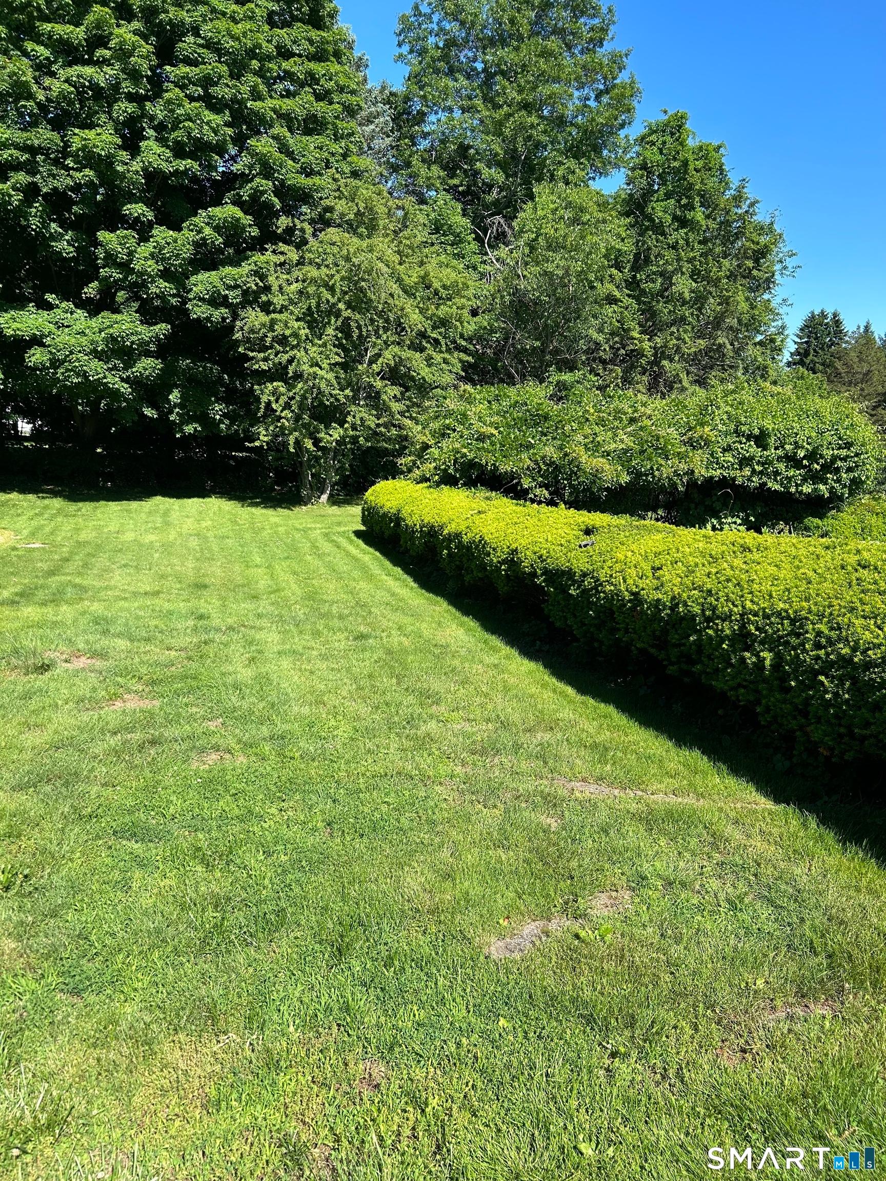 Professional photos coming soon of this warm, welcoming home! This met – image 7