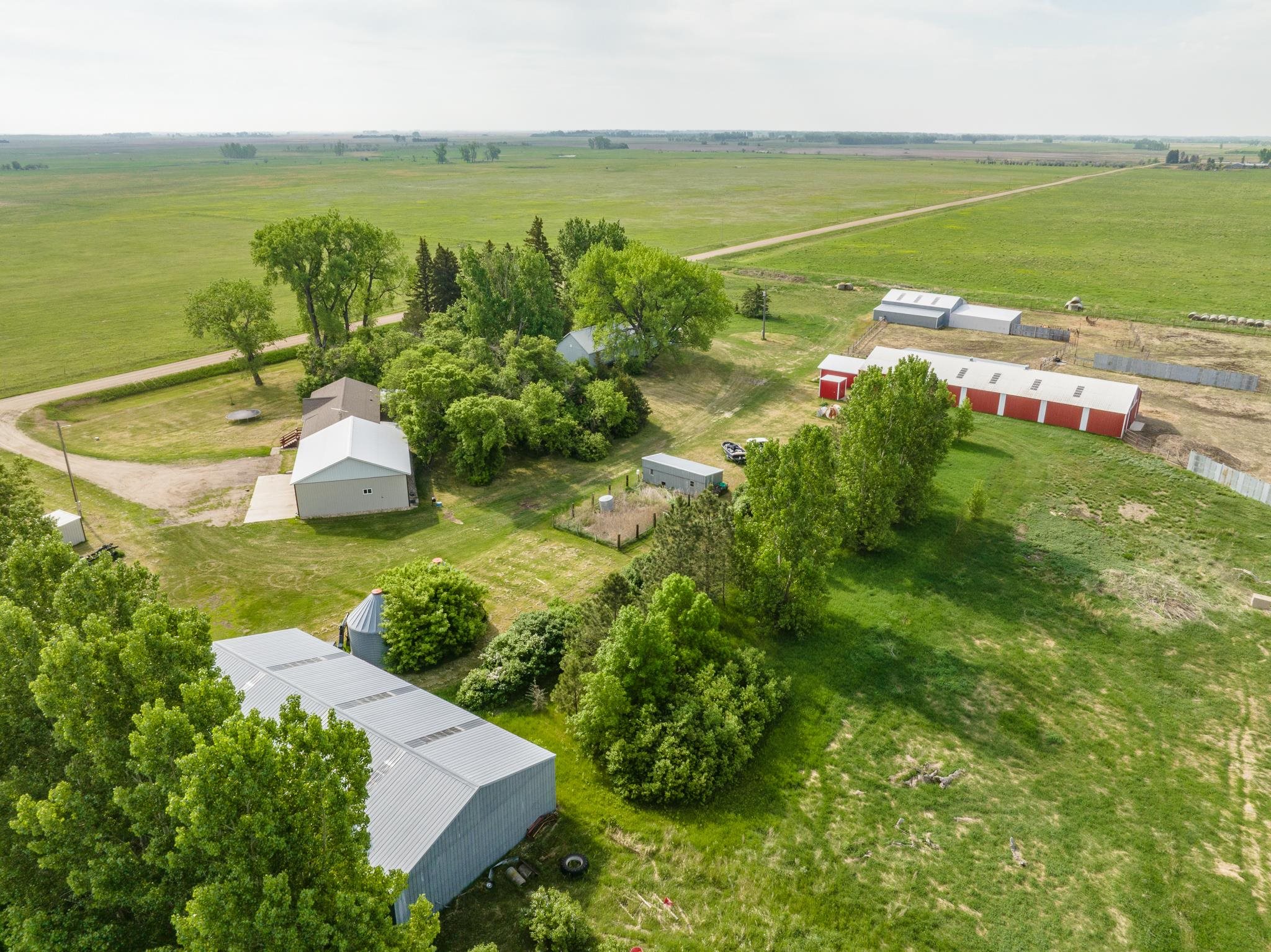 HWY 2 east of Granville 2 miles to 10 Ave N, Turn north second farm on – image 37