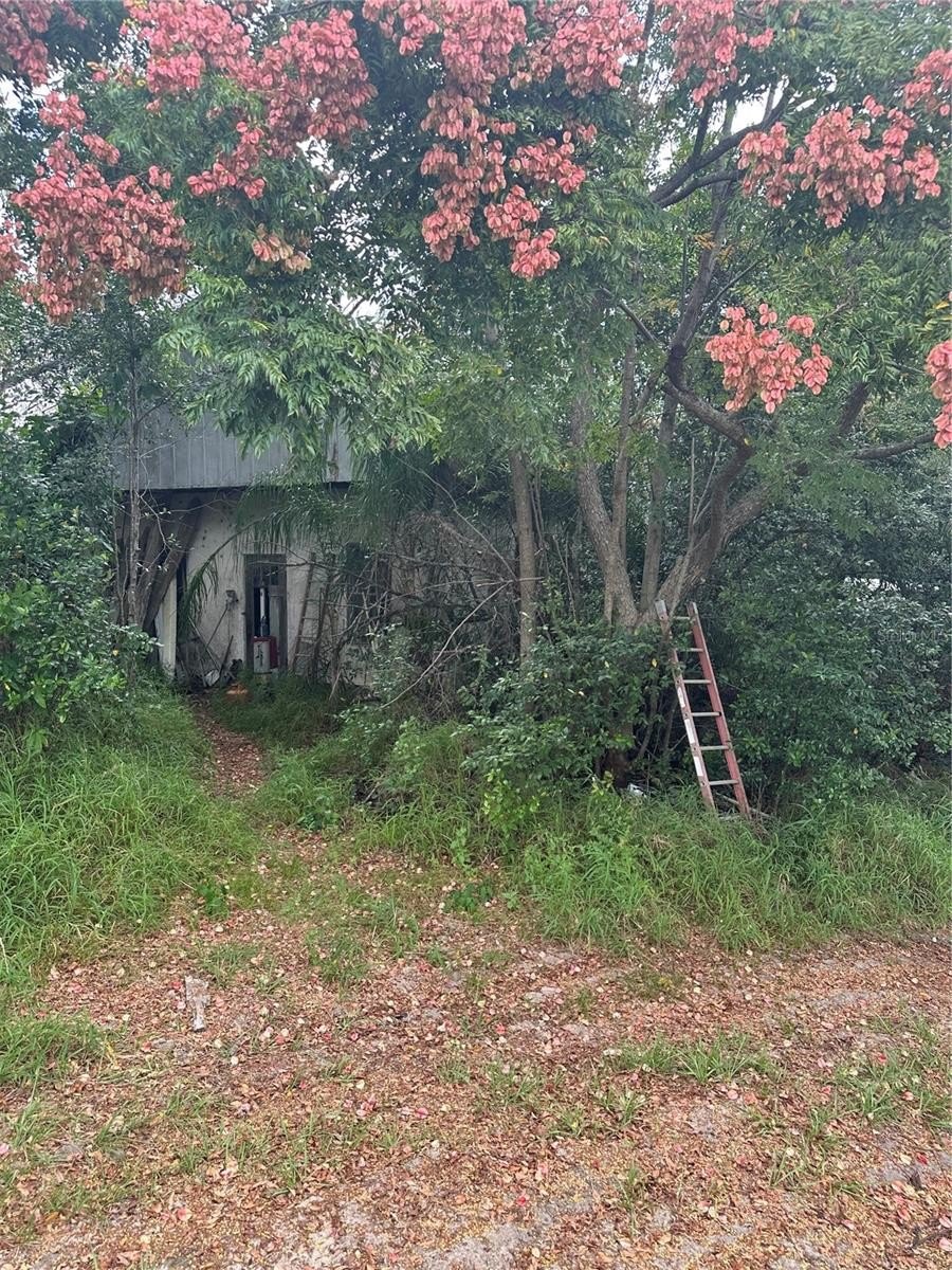 4998 4998 LAKE LOWERY Road, HAINES CITY, Florida, 33844, USA, 3 Bedrooms Bedrooms, ,1 BathroomBathrooms,Residential,For Sale,4998 LAKE LOWERY Road,P4936853