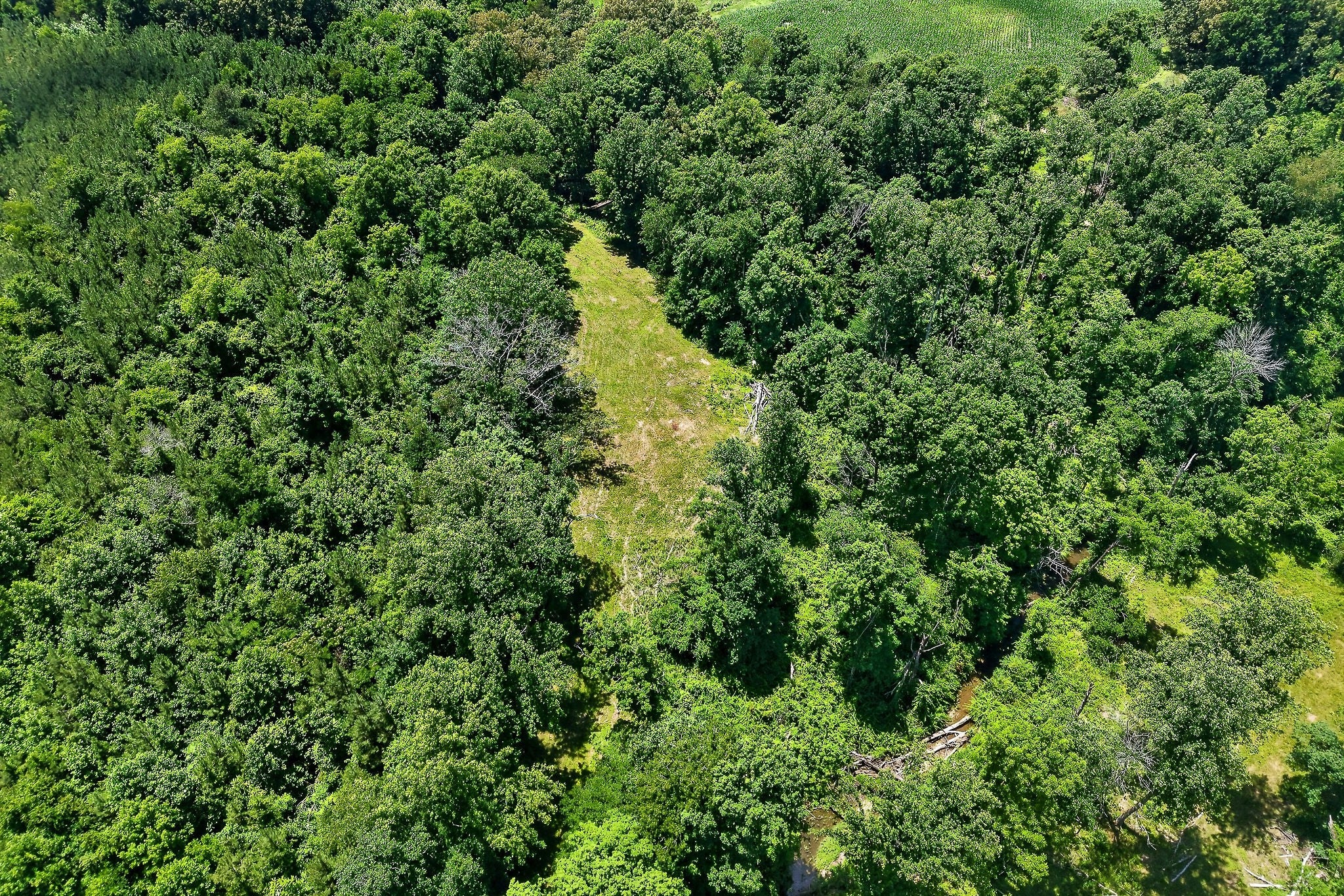 Opportunity, acreage, and potential all come together on this 41.16-ac – image 54