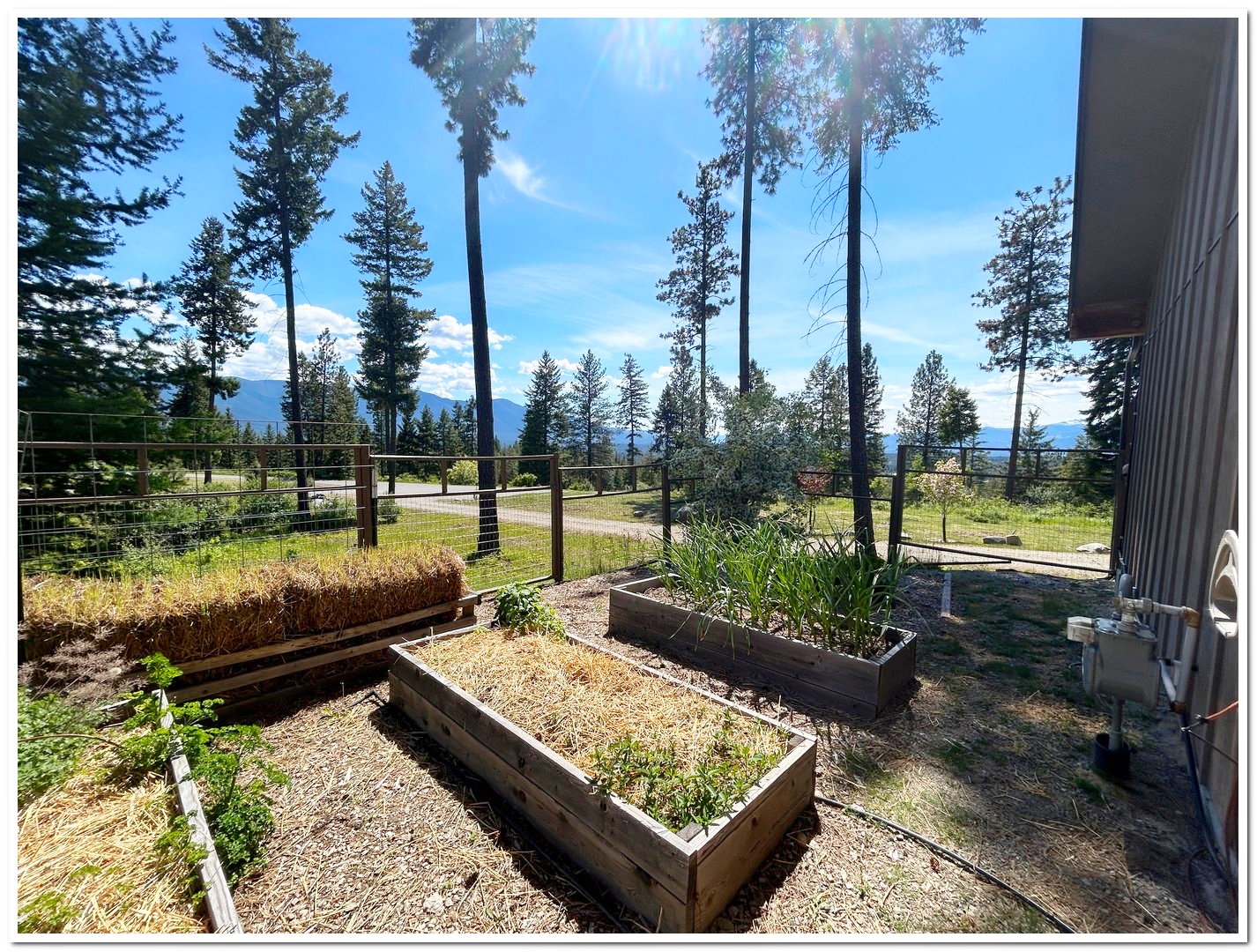 427 427 Wood Duck Lane, Bonners Ferry, Idaho, 83805, USA, 3 Bedrooms Bedrooms, ,2 BathroomsBathrooms,Residential,For Sale,427 Wood Duck Lane,cc178308-f014-4d2e-ac5a-8c284a