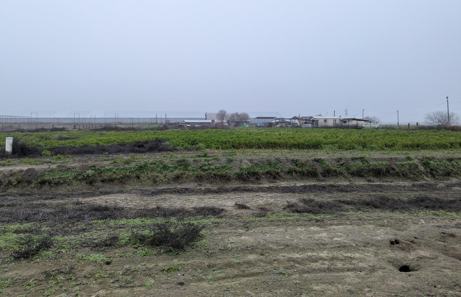 21075 21075 19th Avenue, Stratford, California, 93266, USA, 2 Bedrooms Bedrooms, ,1 BathroomBathrooms,Residential,For Sale,21075 19th Avenue,642560