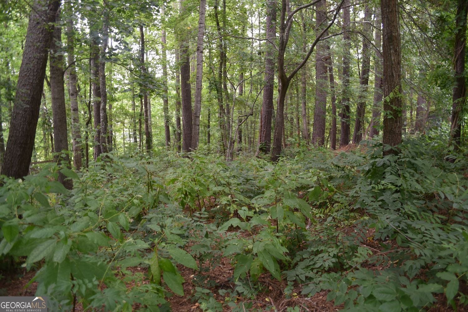 One plus acre in Milton! Purchase this ranch home that is located in c – image 25