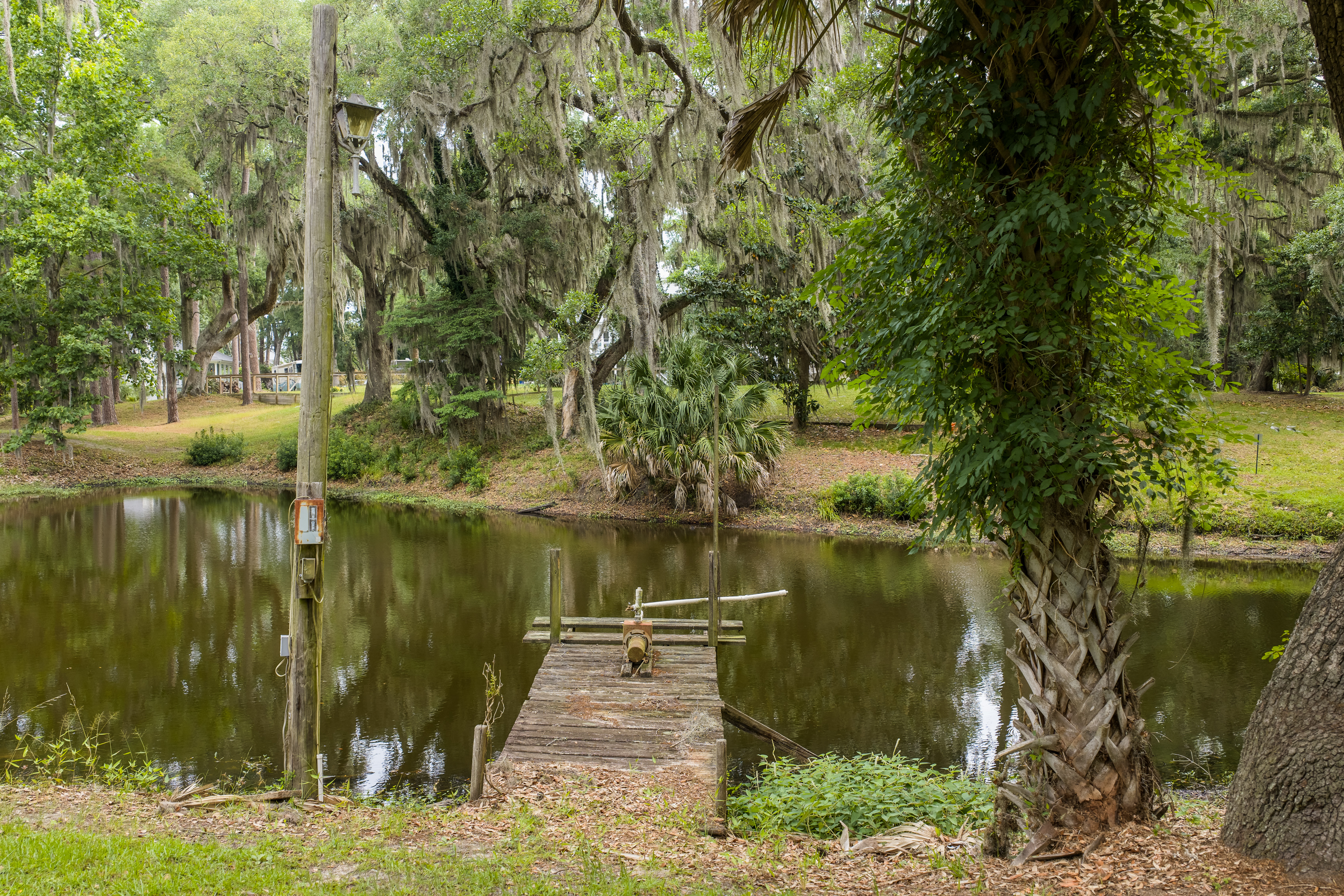 One of a kind, Lowcountry Living! This beautiful house sitting amongst – image 69