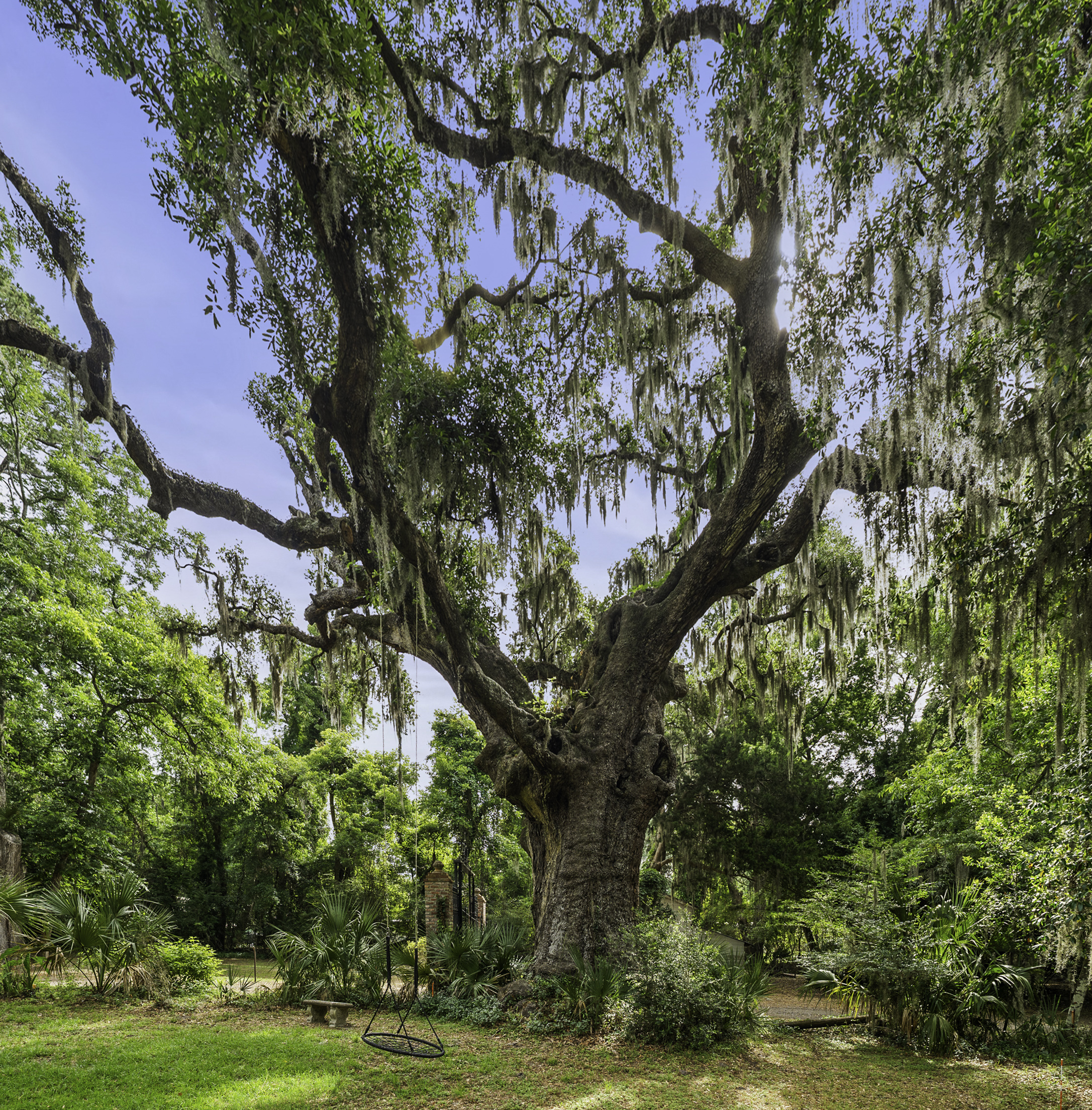 One of a kind, Lowcountry Living! This beautiful house sitting amongst – image 57