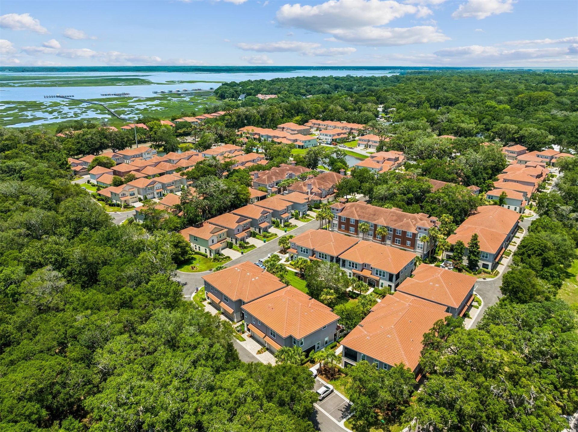 96159 96159 Hanging Moss Drive, Fernandina Beach, Florida, 32034, USA, 2 Bedrooms Bedrooms, ,3 BathroomsBathrooms,Residential,For Sale,96159 Hanging Moss Drive,114282