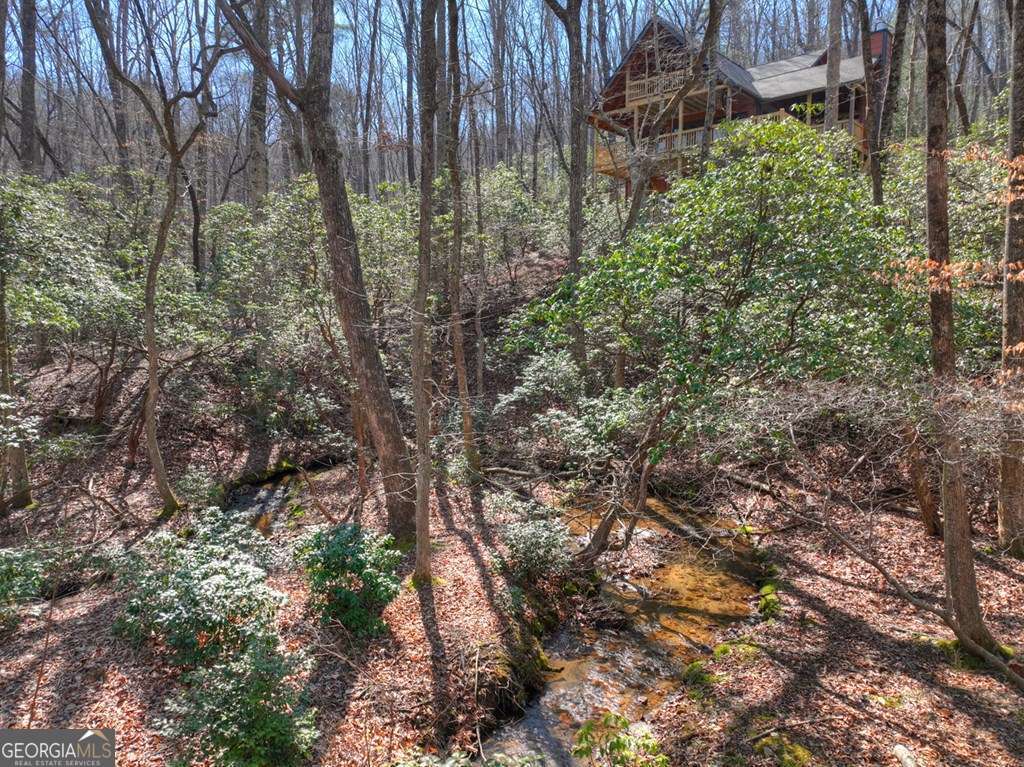 Endless Adventure Awaits where the Heart of the Cohutta Wilderness Are – image 28