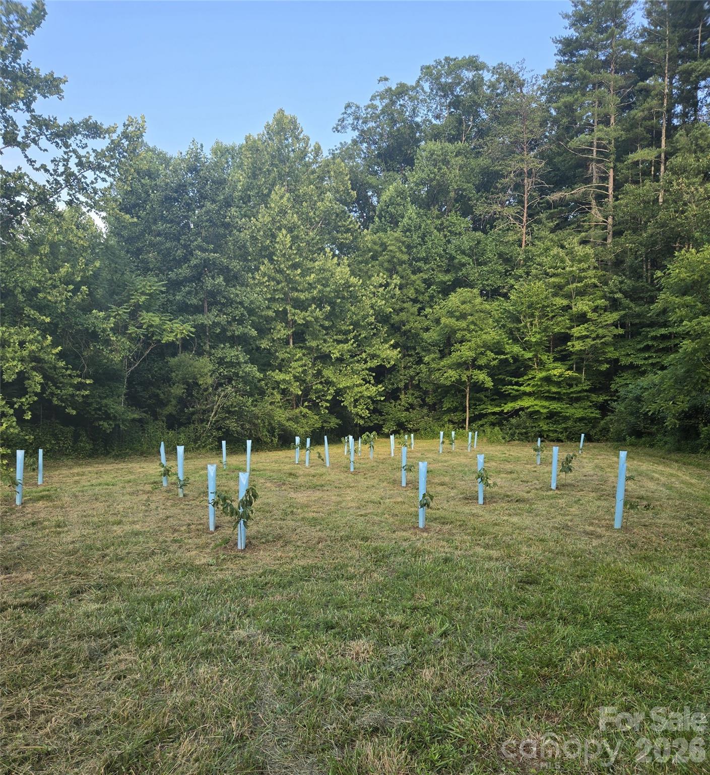 670 670 Cedar Creek Road, Lake Lure, North Carolina, 28746, USA, 3 Bedrooms Bedrooms, ,2 BathroomsBathrooms,Residential,For Sale,670 Cedar Creek Road,4382823