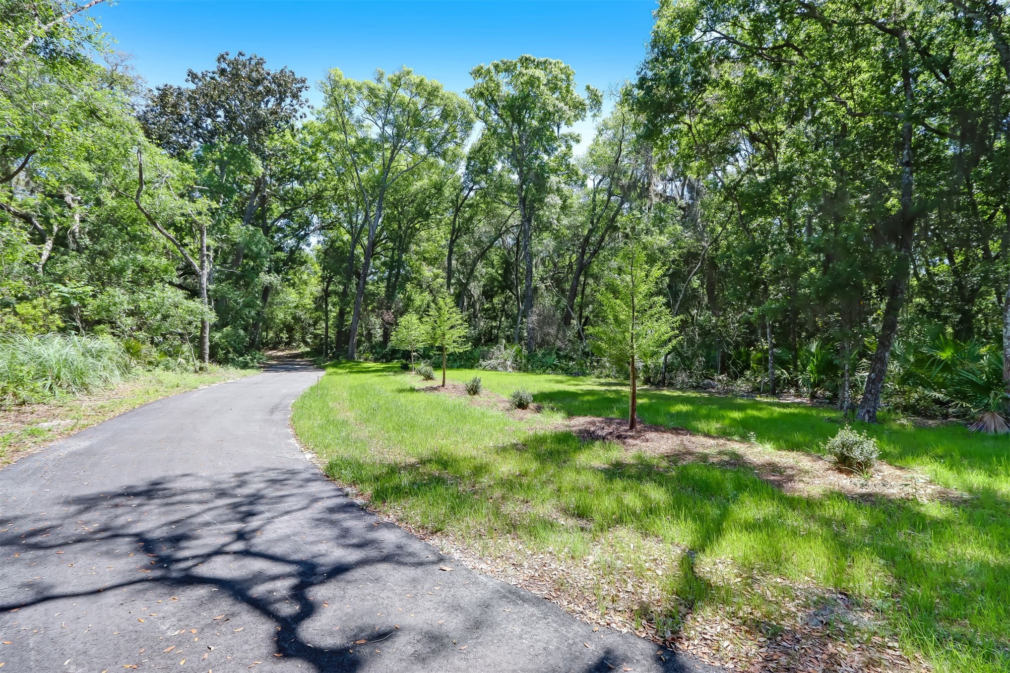 96159 96159 Hanging Moss Drive, Fernandina Beach, Florida, 32034, USA, 2 Bedrooms Bedrooms, ,3 BathroomsBathrooms,Residential,For Sale,96159 Hanging Moss Drive,114282