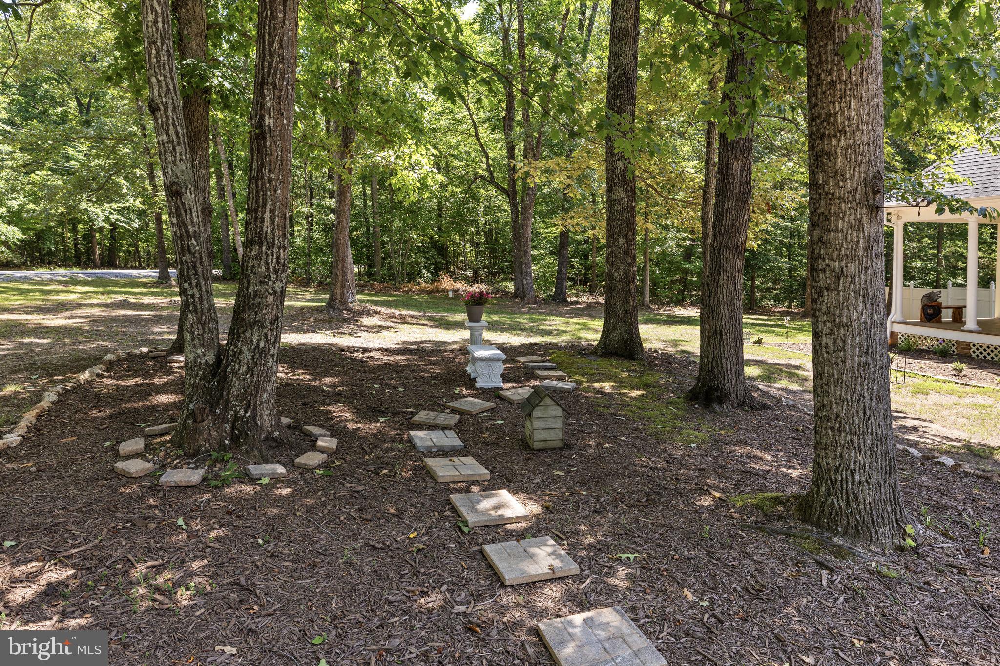 621 621 Ridgemont Drive, Louisa, Virginia, 23093, USA, 5 Bedrooms Bedrooms, ,3 BathroomsBathrooms,Residential,For Sale,621 Ridgemont Drive,VALA2010174
