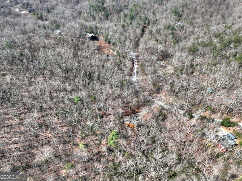 Endless Adventure Awaits where the Heart of the Cohutta Wilderness Are – image 64