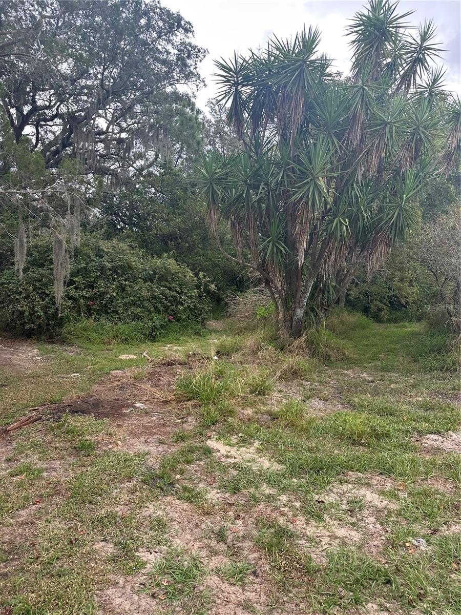 4998 4998 LAKE LOWERY Road, HAINES CITY, Florida, 33844, USA, 3 Bedrooms Bedrooms, ,1 BathroomBathrooms,Residential,For Sale,4998 LAKE LOWERY Road,P4936853