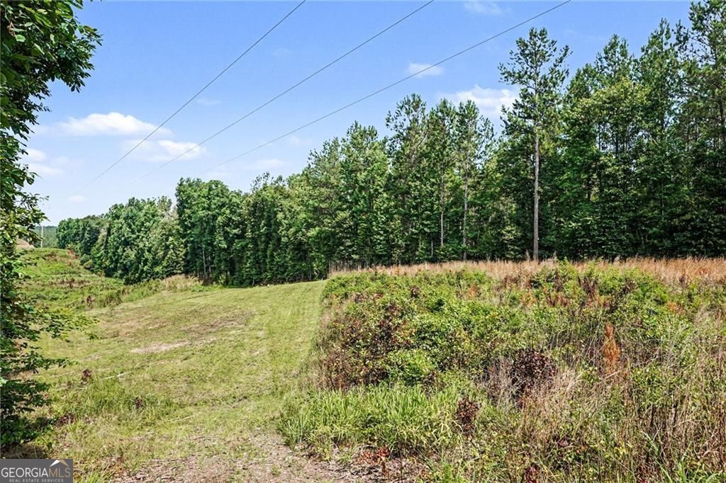 Nestled on 14.38 acres in the countryside, this beautiful 5-bedroom, 3 – image 31