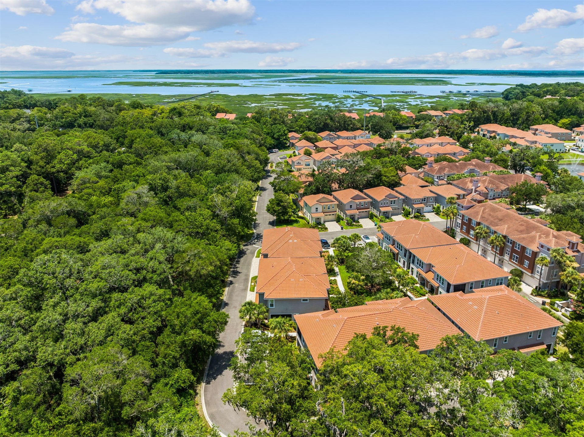 96159 96159 Hanging Moss Drive, Fernandina Beach, Florida, 32034, USA, 2 Bedrooms Bedrooms, ,3 BathroomsBathrooms,Residential,For Sale,96159 Hanging Moss Drive,114282