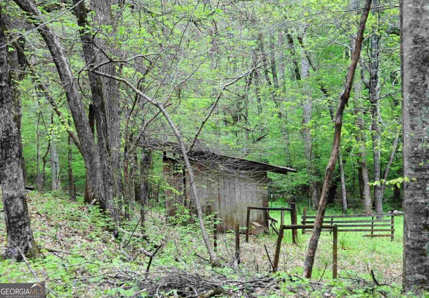 Welcome to 385 Vaughn Road-a private, 5.63-acre botanical sanctuary an – image 41