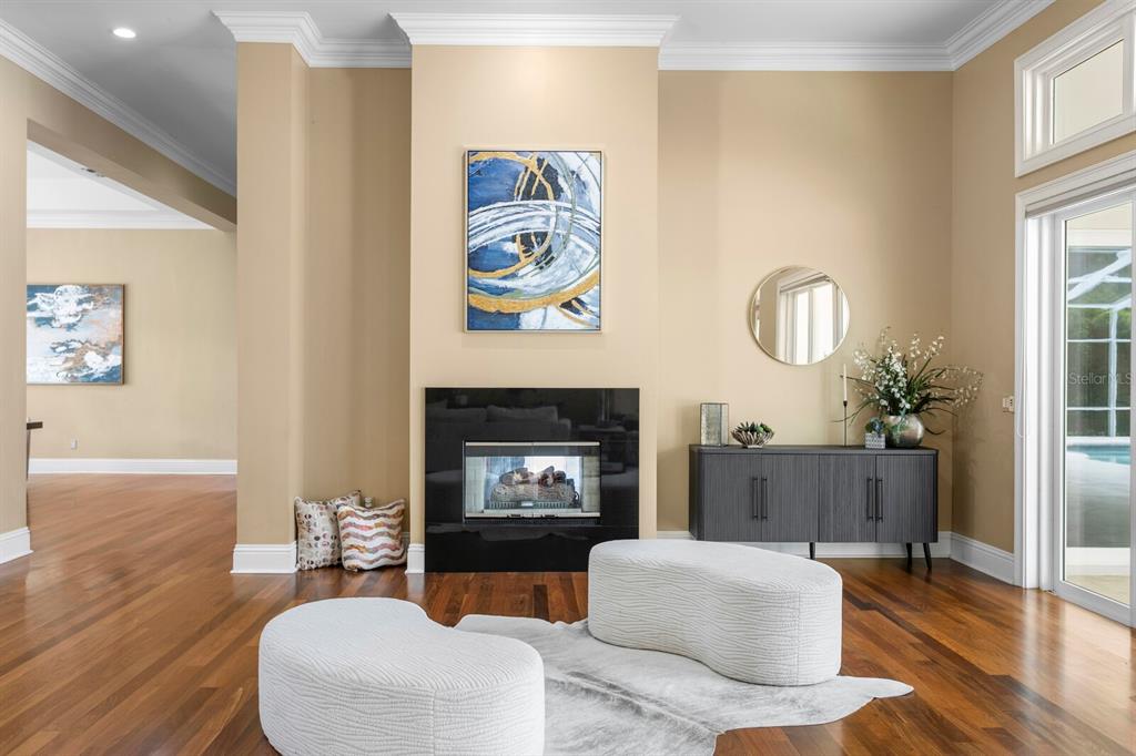 This spectacular custom executive home is situated in Avila, Tampa Bay – image 17