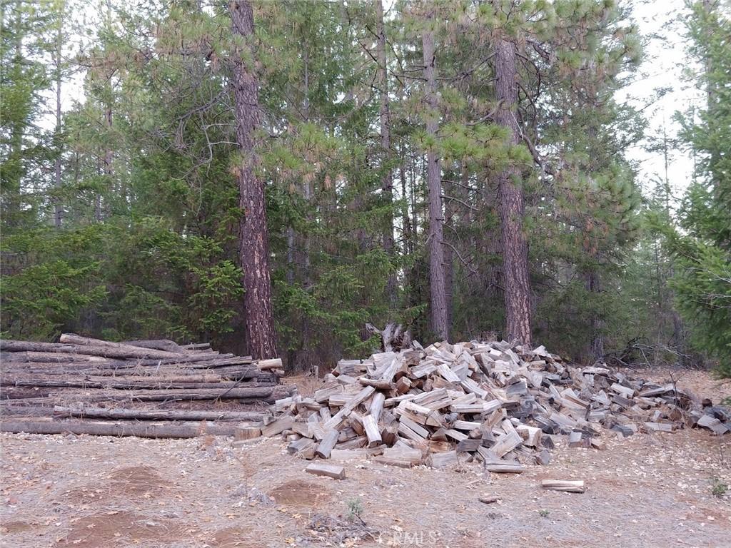 Fabulous 80 Acre Parcel with Manufactured Home and One Incredible Barn – image 15