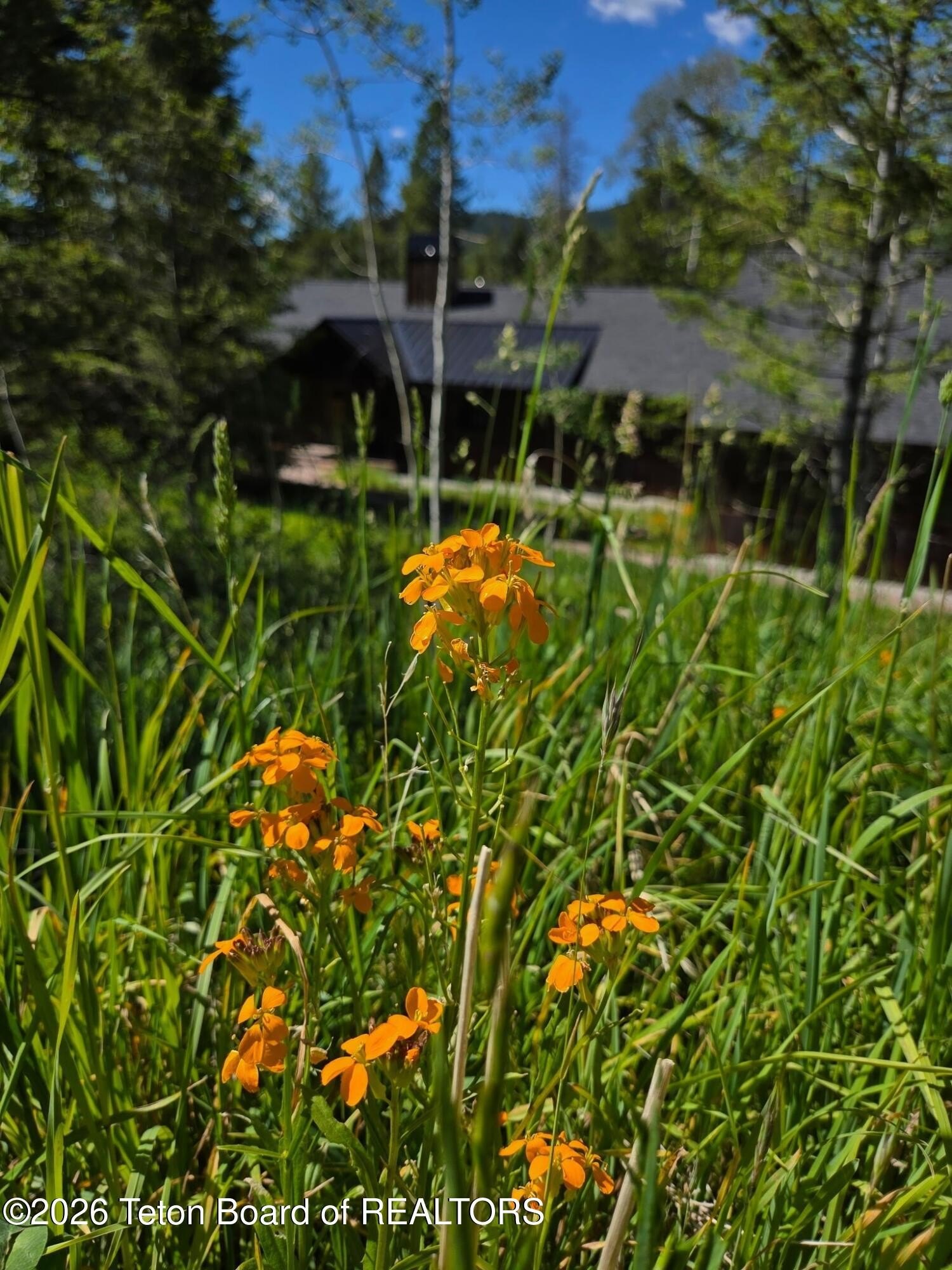5727 5727 FOREST RIDGE Road, Victor, Idaho, 83455, USA, 4 Bedrooms Bedrooms, ,4 BathroomsBathrooms,Residential,For Sale,5727 FOREST RIDGE Road,26-172