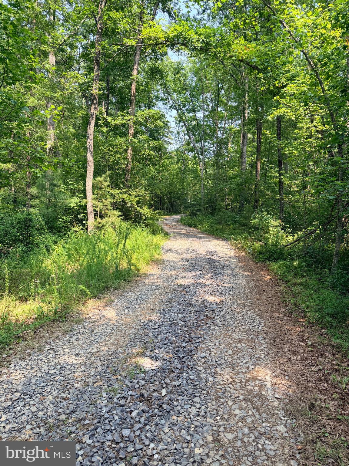 LOT 5 Autumn Ridge Lane, Unionville, Virginia, 22567, USA, 3 Bedrooms Bedrooms, ,3 BathroomsBathrooms,Residential,For Sale,LOT 5 Autumn Ridge Lane,VAOR2014120