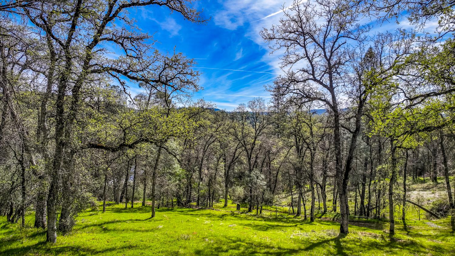 5603 5603 Gold Mountain, Mountain Ranch, California, 95246, USA, 3 Bedrooms Bedrooms, ,2 BathroomsBathrooms,Residential,For Sale,5603 Gold Mountain,226031383