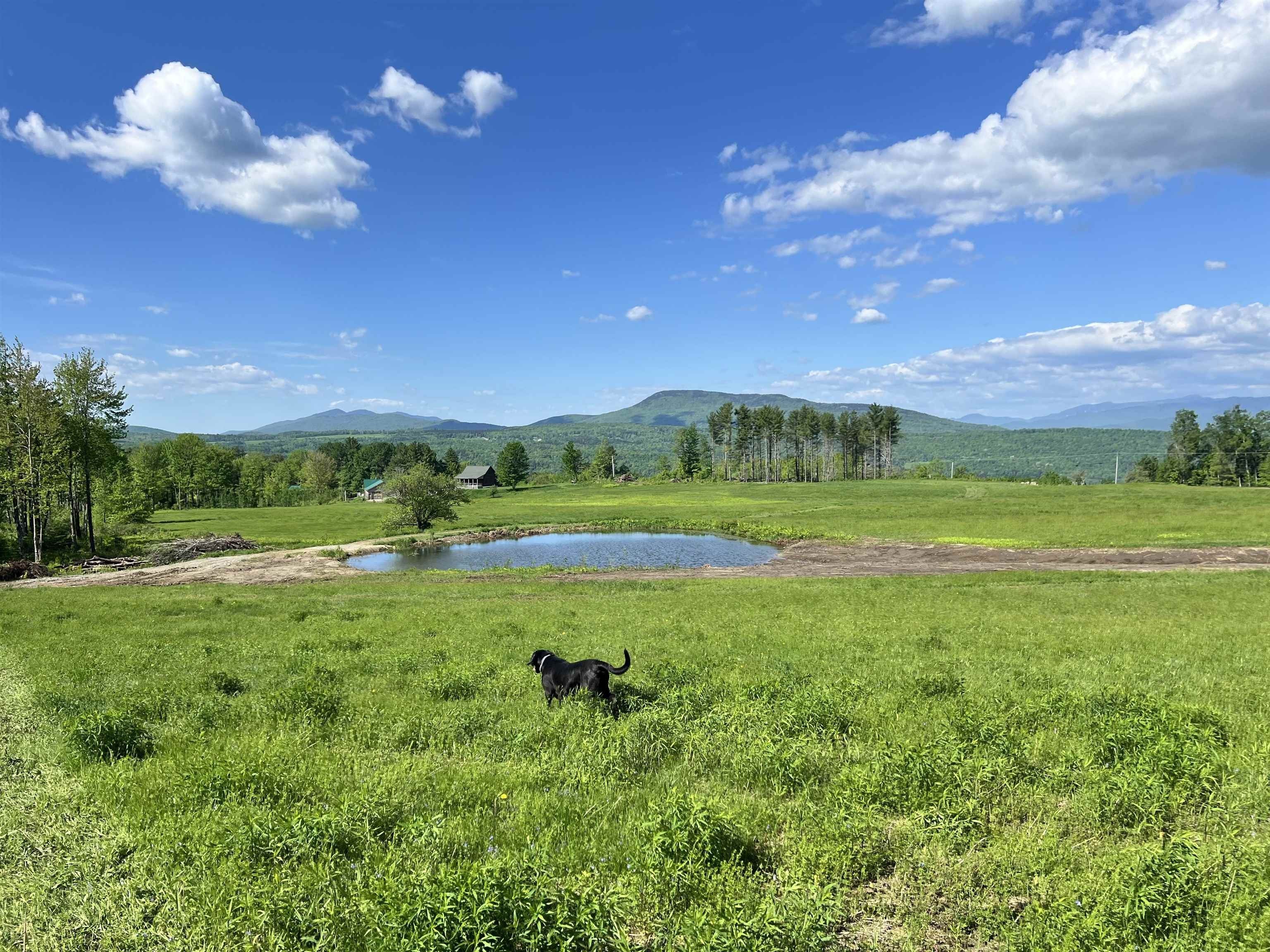 00 00 Town Hill Road, Wolcott, Vermont, 05860, USA, ,Land,For Sale,00 Town Hill Road,8c548b02-515f-4088-b77c-7788e9
