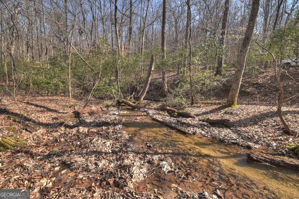 Endless Adventure Awaits where the Heart of the Cohutta Wilderness Are – image 36