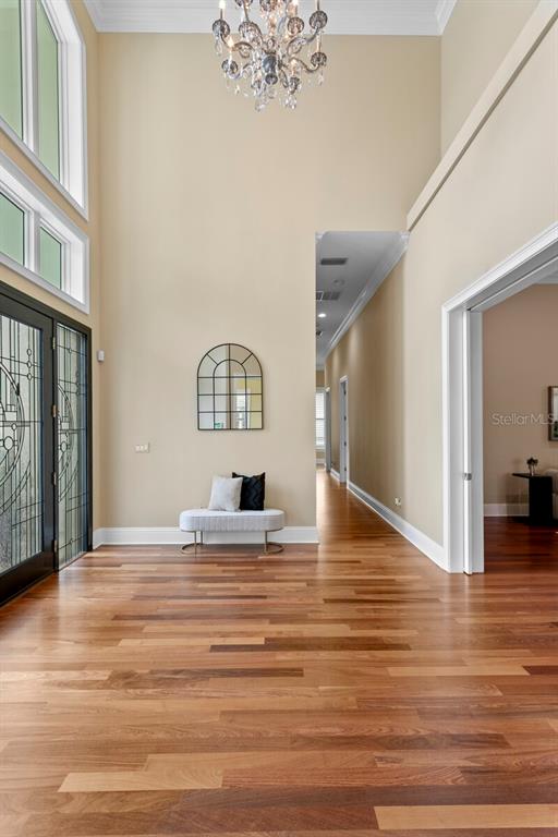 This spectacular custom executive home is situated in Avila, Tampa Bay – image 3