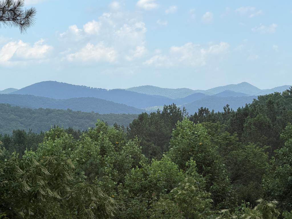 WAKE UP to the Sweeping Long-Range MTN VIEWS EVERY MORNING in this FUL – image 40
